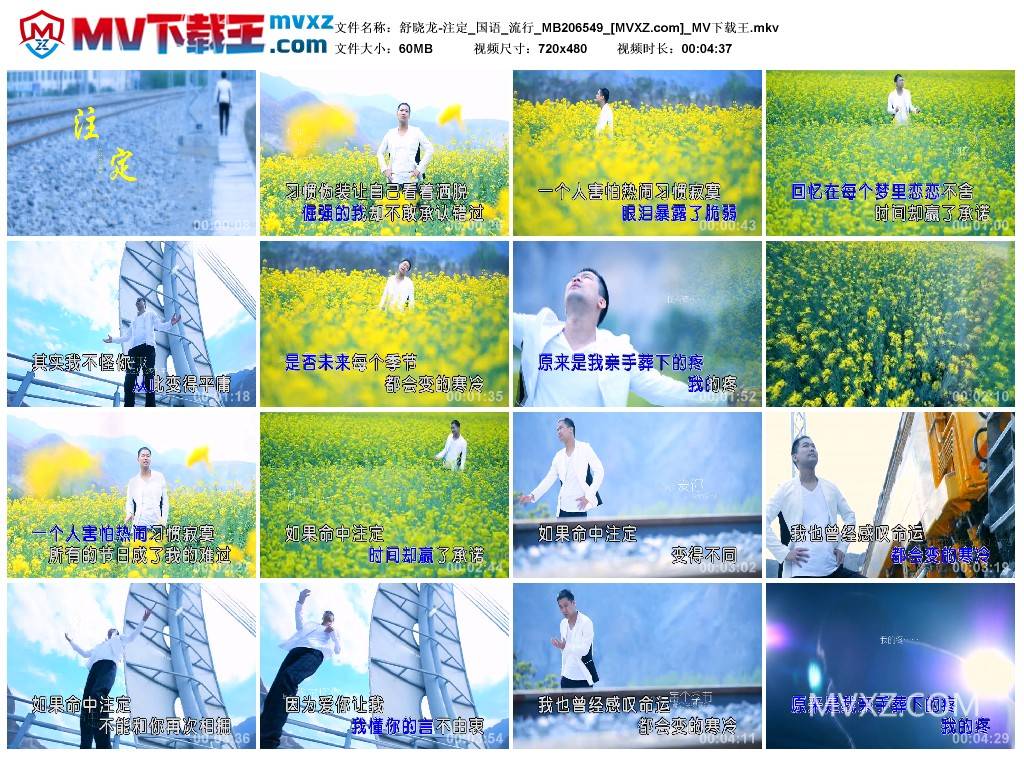 舒晓龙-注定_国语_流行_MB206549